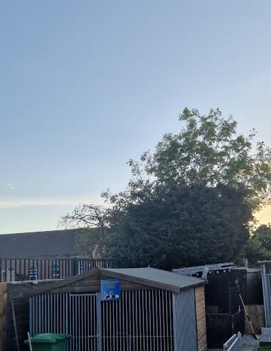 DIDSBURY TREE & STUMP REMOVALS/DIDSBURY TREE SURGEON — Customer photo
