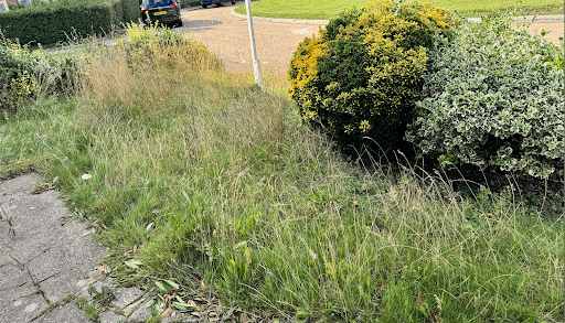 Green Goose Gardens — Customer photo