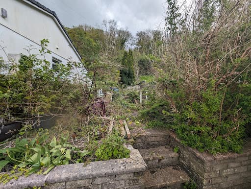 Green Grass Garden & Waste Services Swansea 🌳♻️🪚 — Customer photo