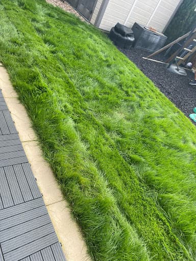 Ideal Lawn Care — Customer photo