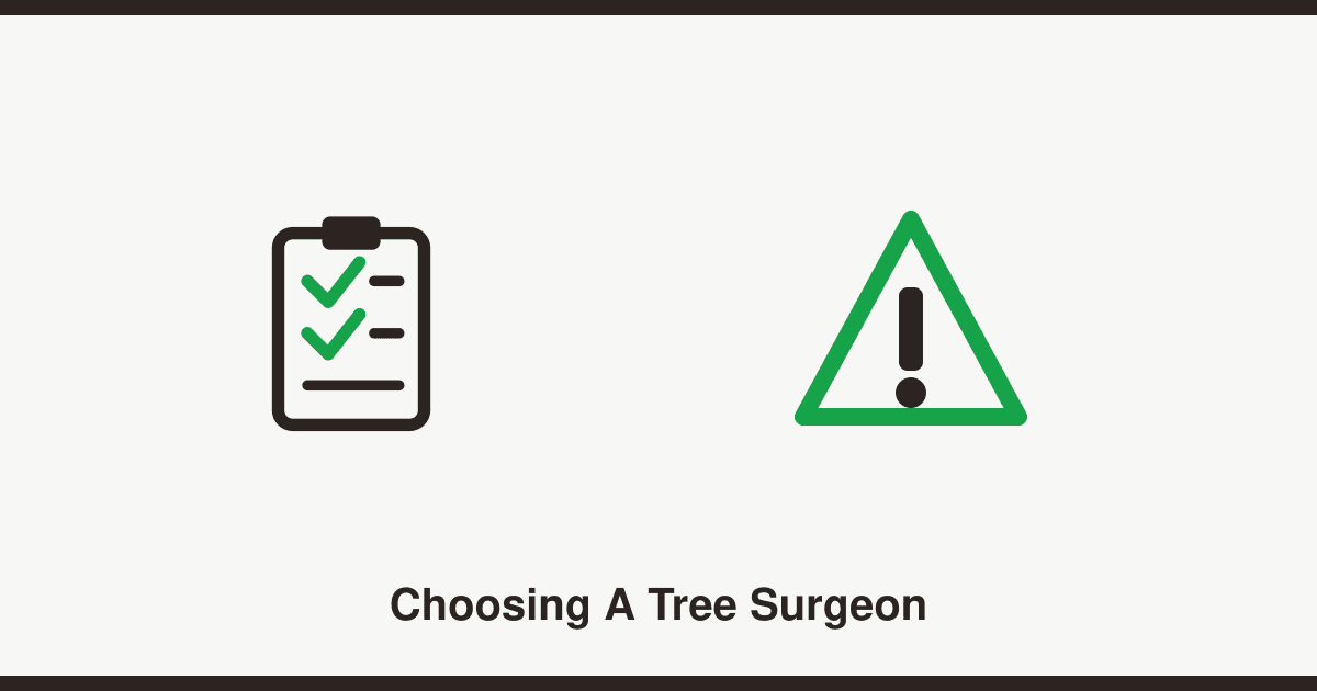 How to choose a tree surgeon in the UK