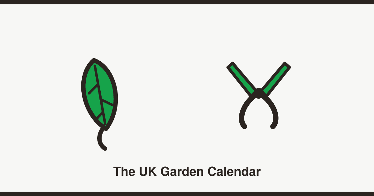 Garden maintenance calendar: what to do each season in the UK