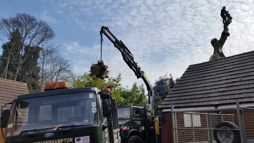 Wolverhampton Tree Service Ltd