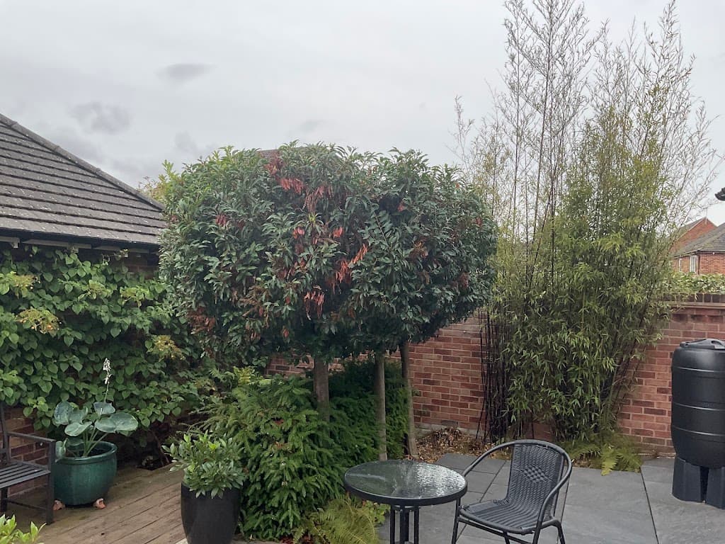 Rogers & Co Tree Services Ltd