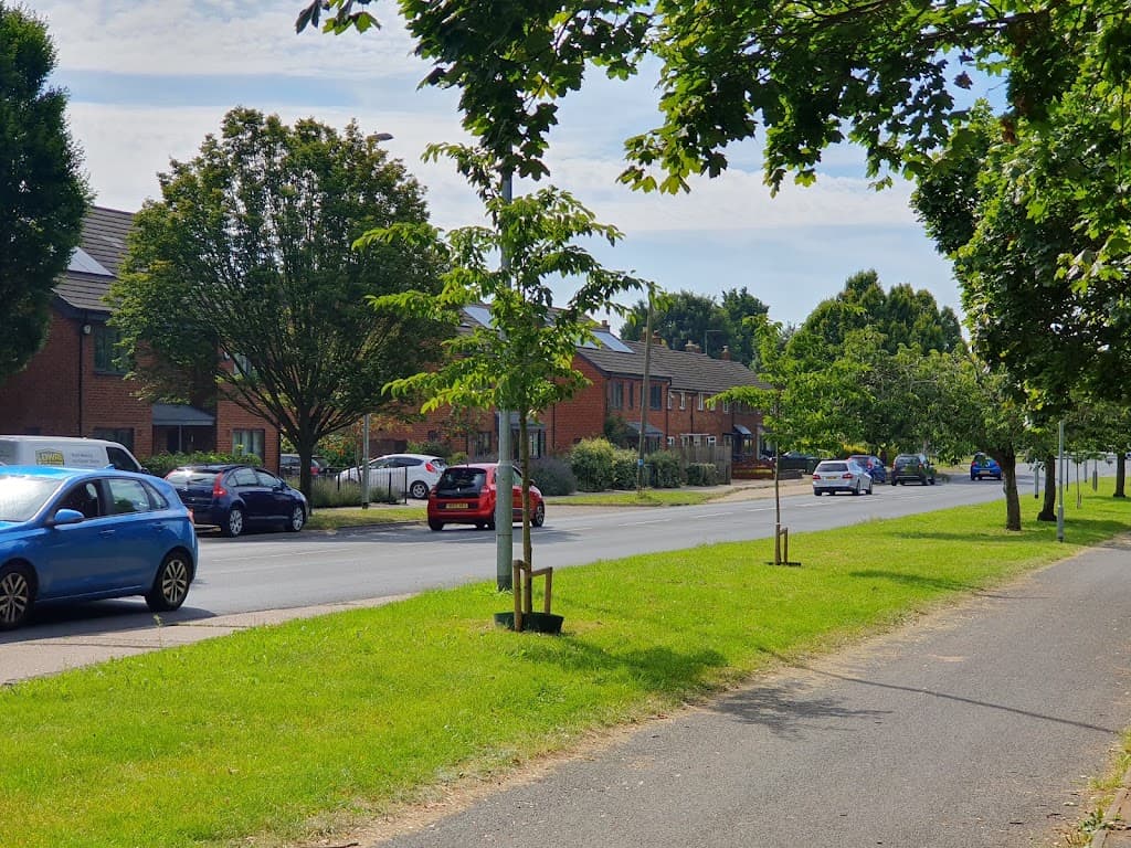 Thrive Tree Consultancy Ltd