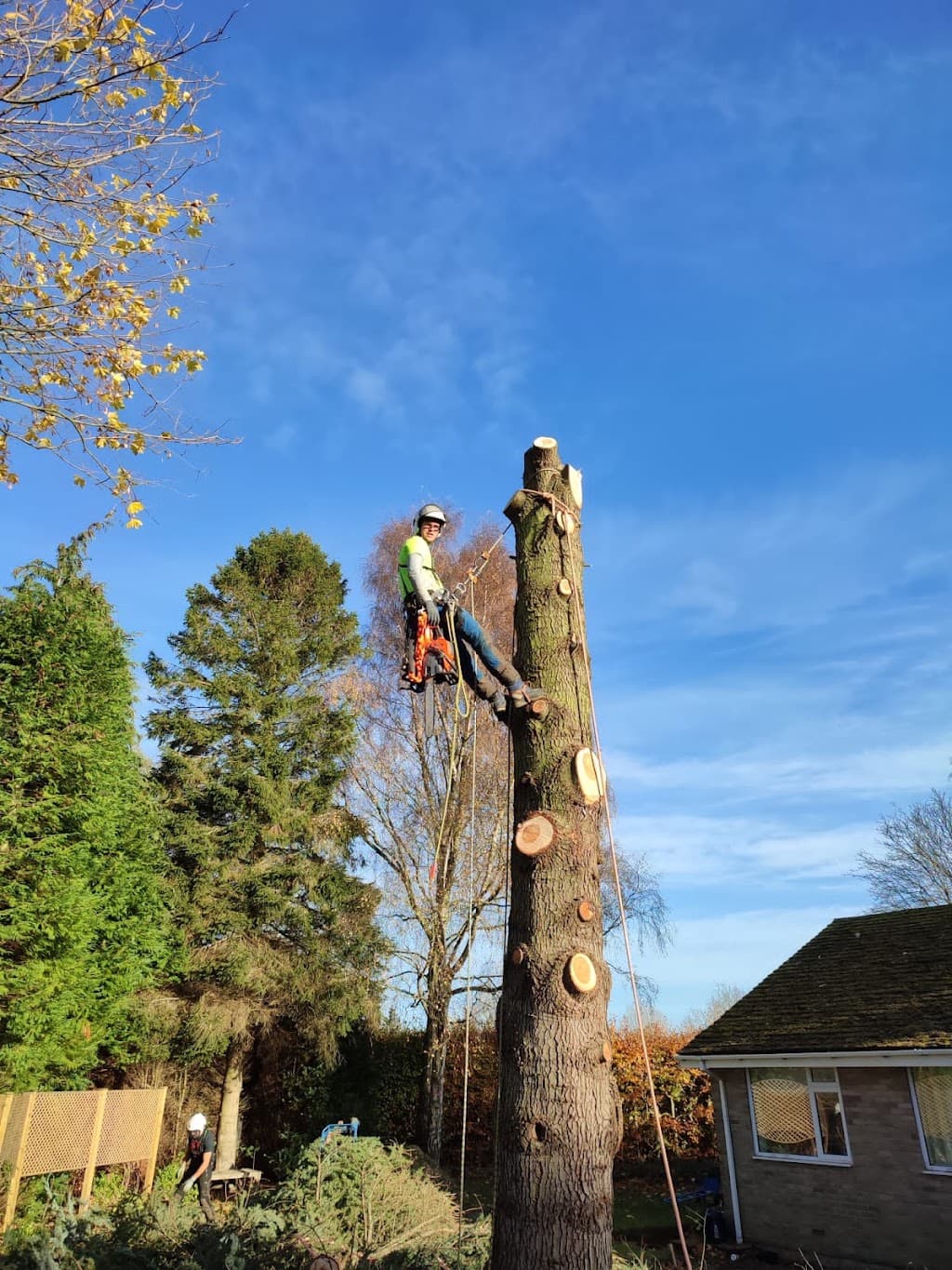 S.M. Tree Services NE