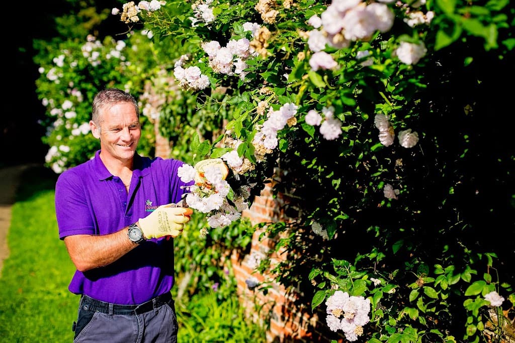 Johnson Gardening Services Ltd