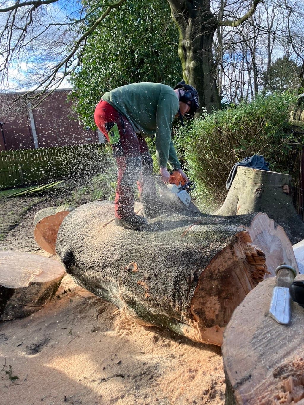 Acorn Arborists & Garden Maintenance