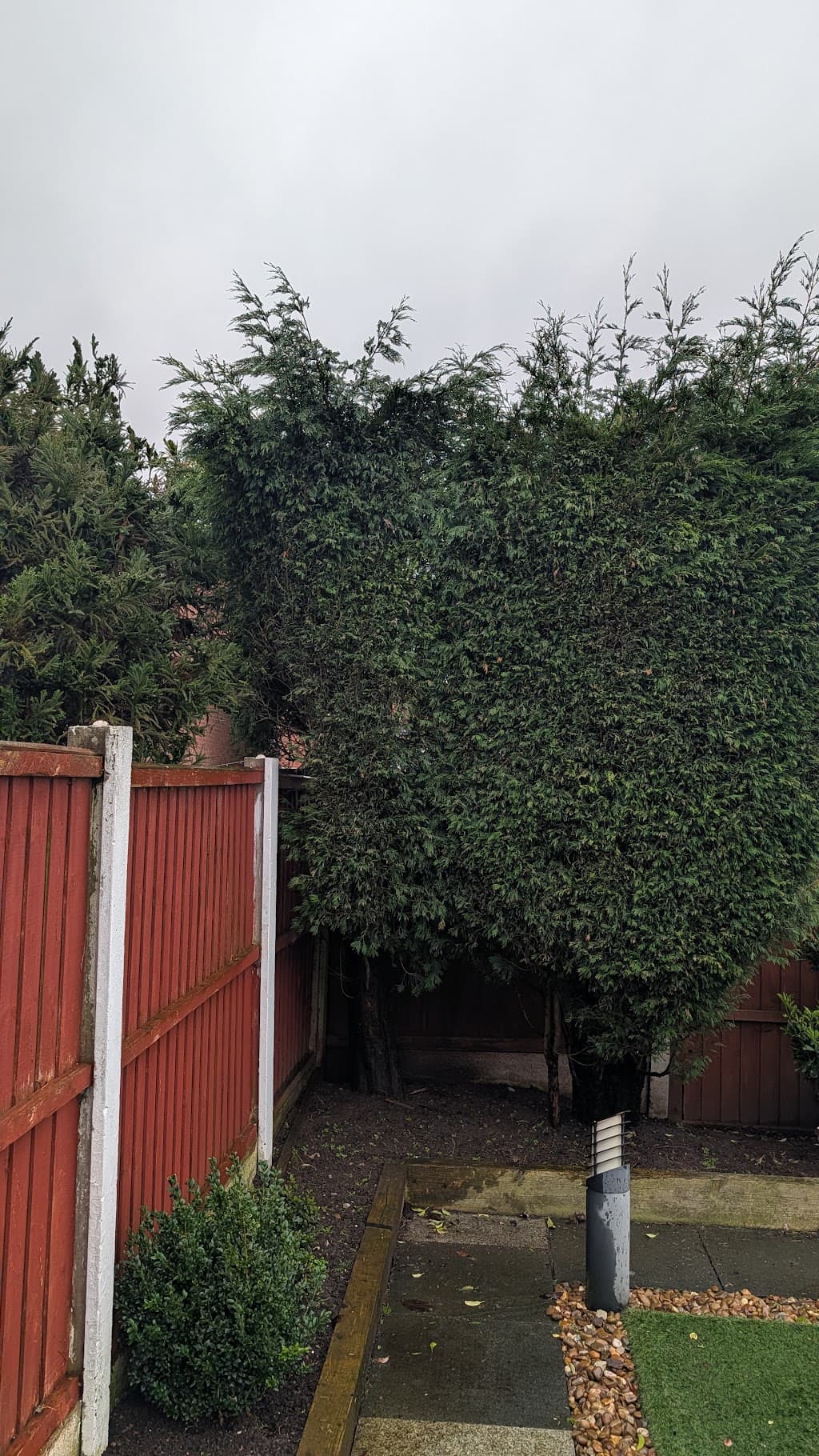 J. Goodall Tree Surgeon