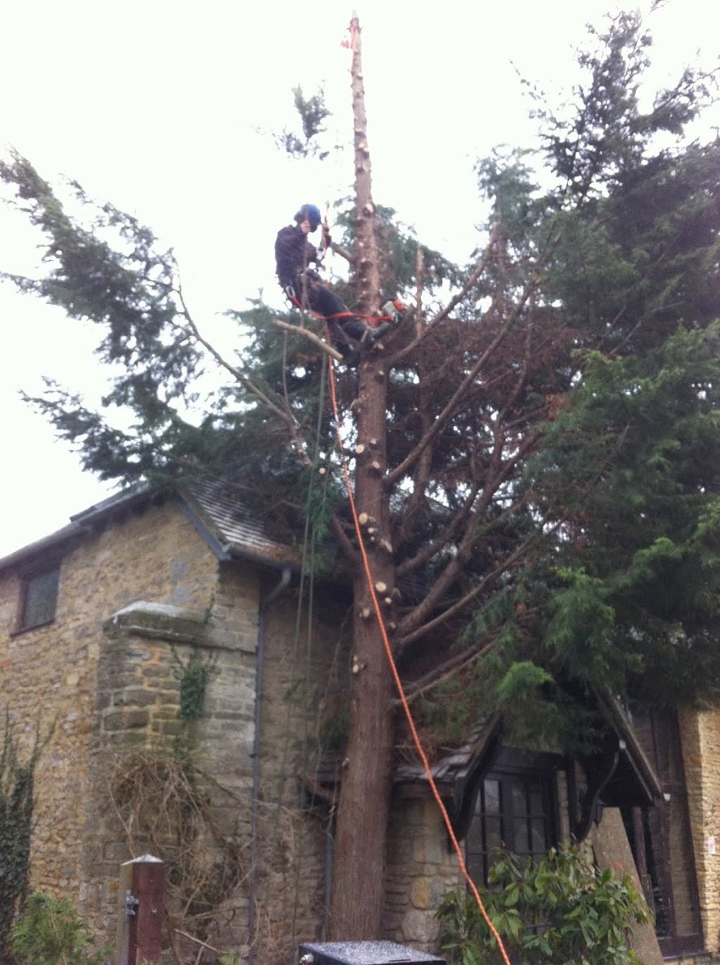 TreeScape Oxford Limited
