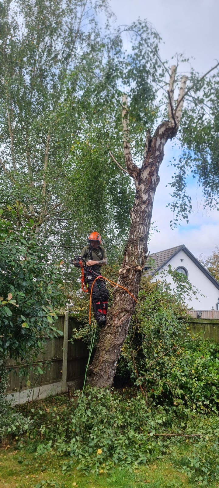 Tree Services Merseyside Ltd
