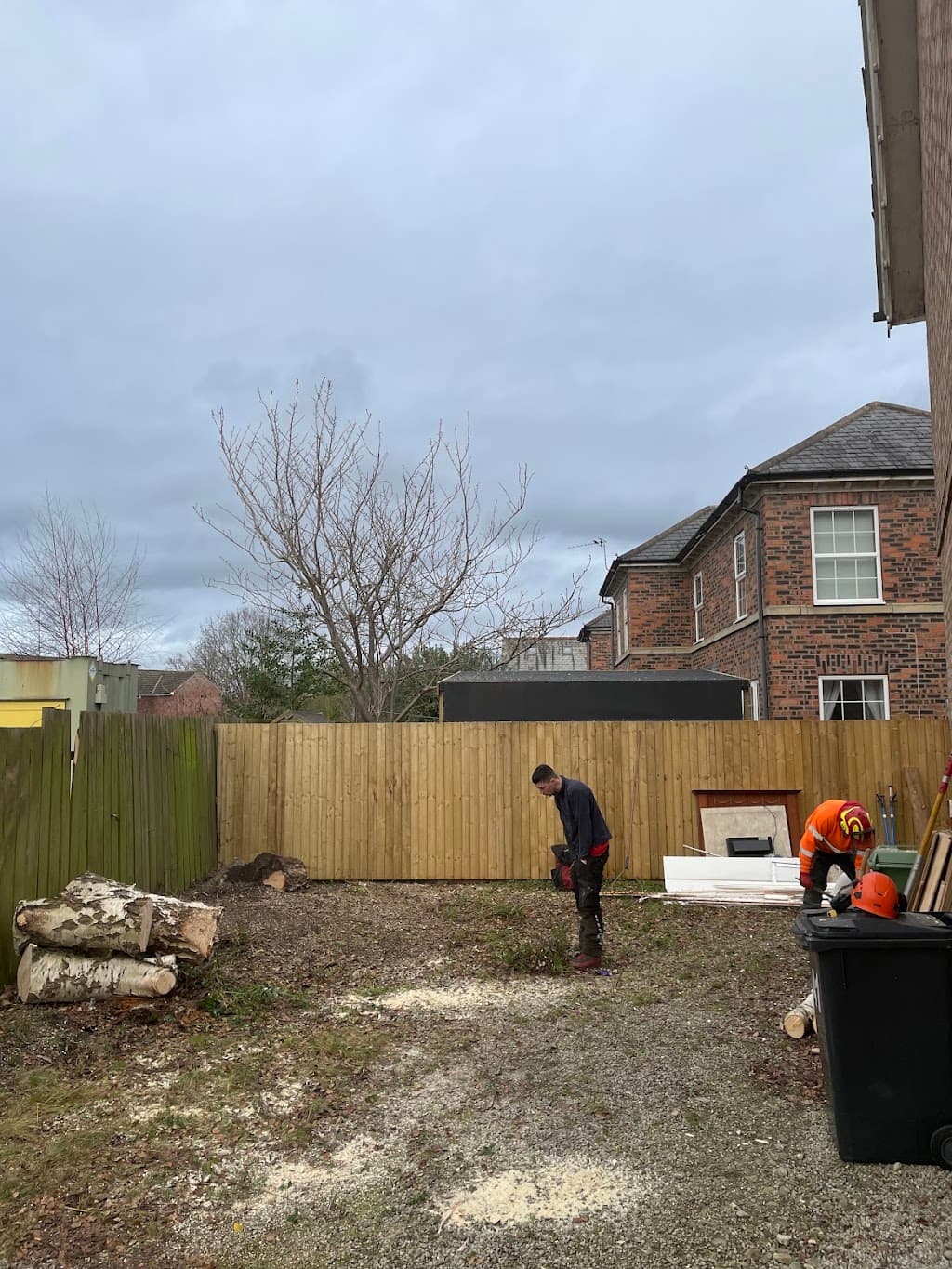 Lewis Tree Surgery