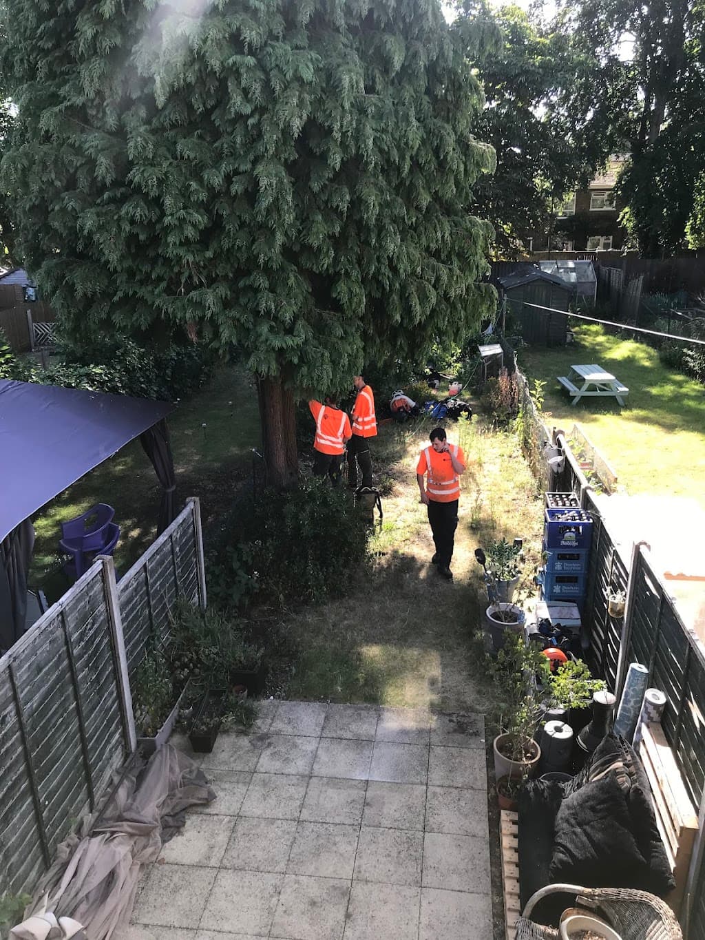 Crown Tree Services