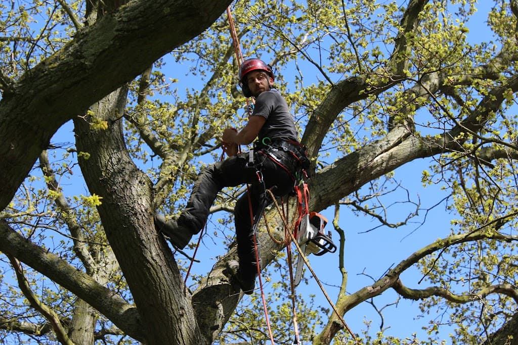 Nene Valley Tree Services