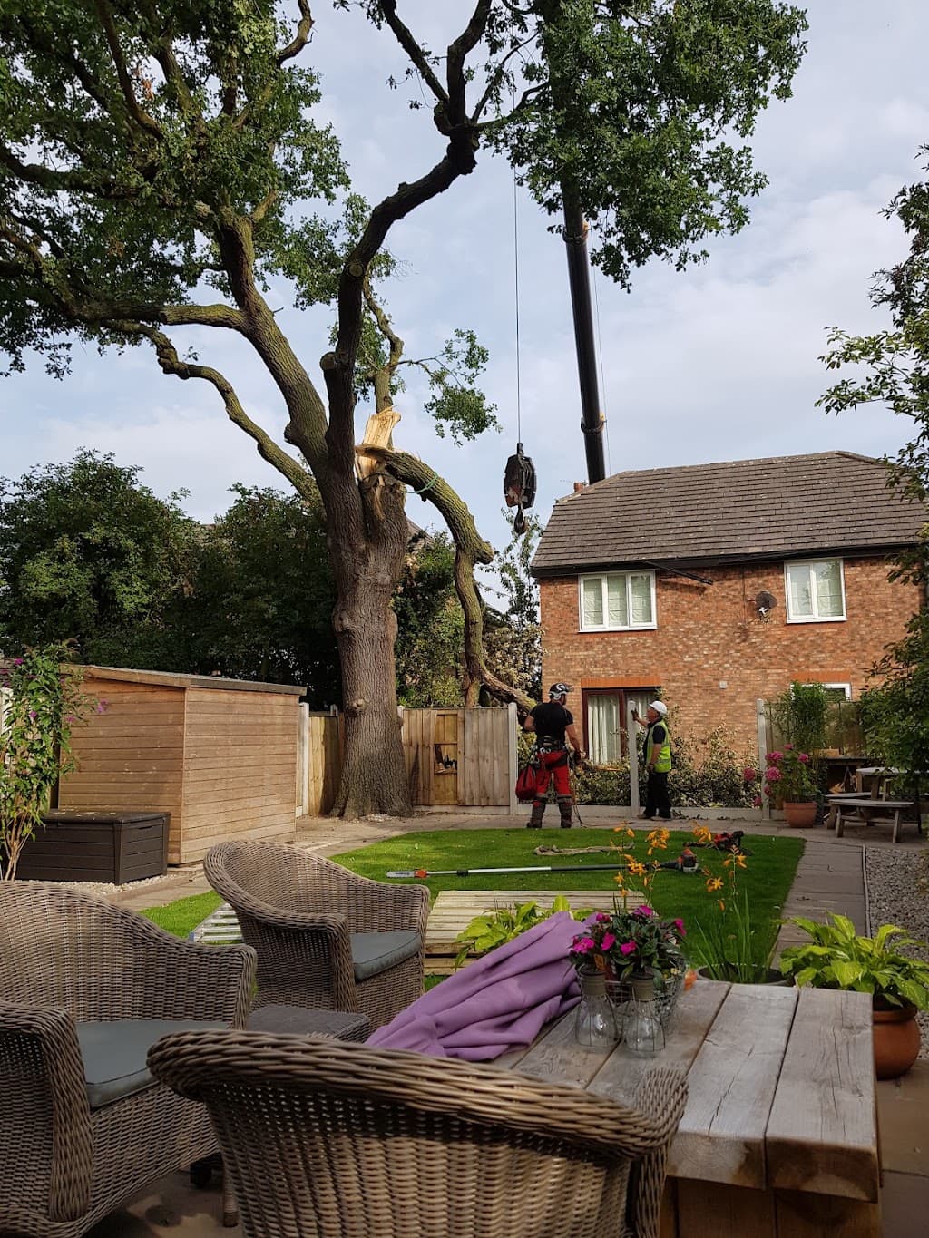 Yorkshire Tree Surgeons Ltd