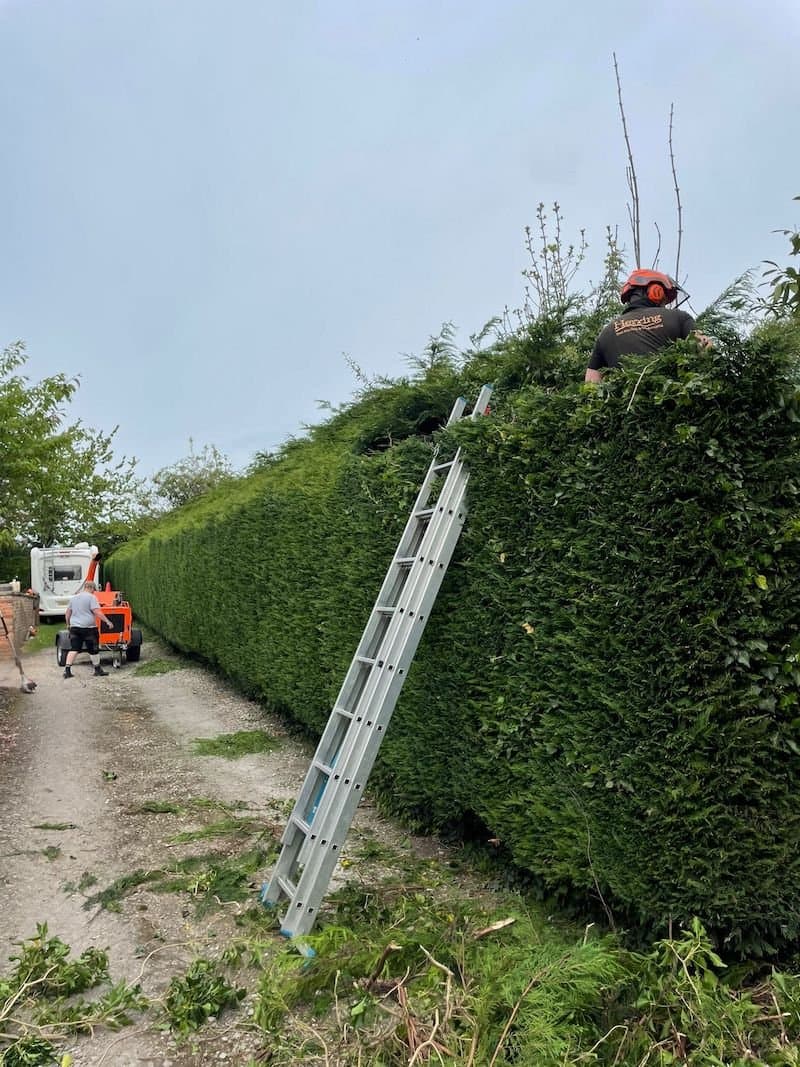Herring Trees & Landscaping