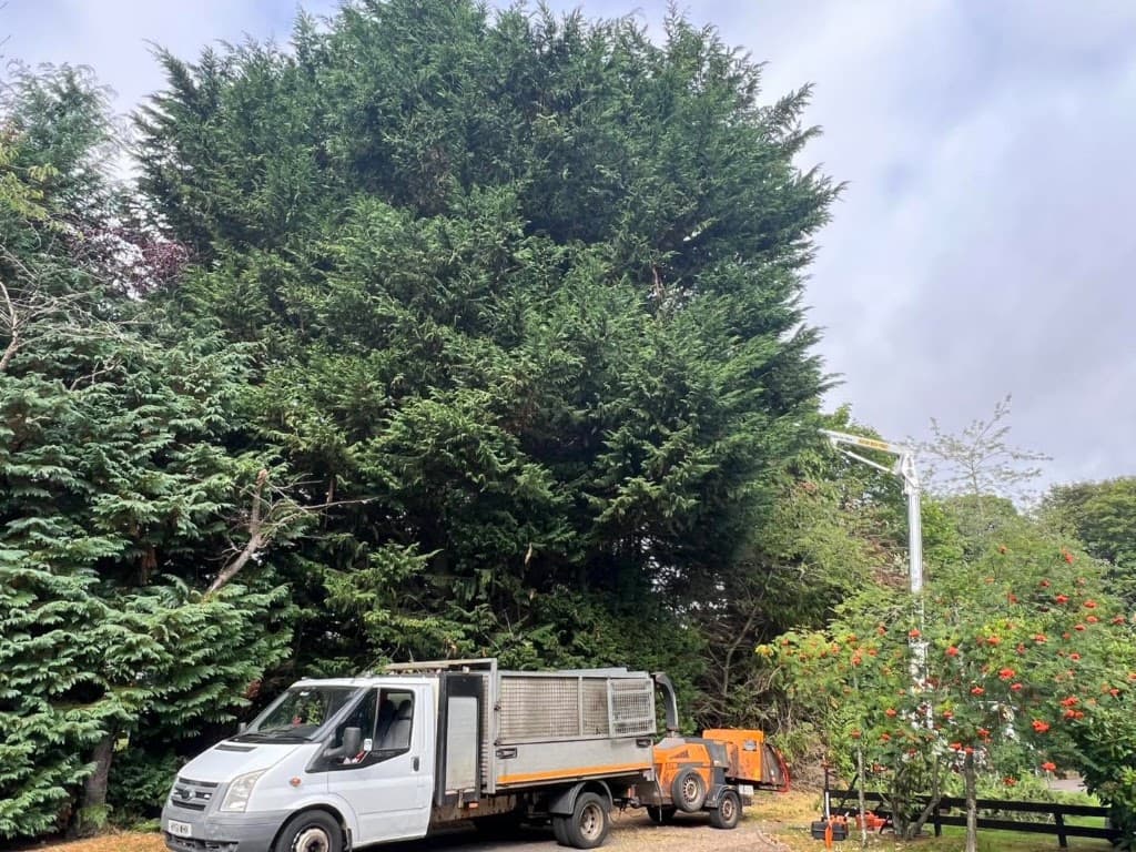 Aberdeen Area Tree Surgeons