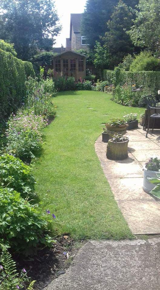 Aspen Garden (Gardening) services Hull