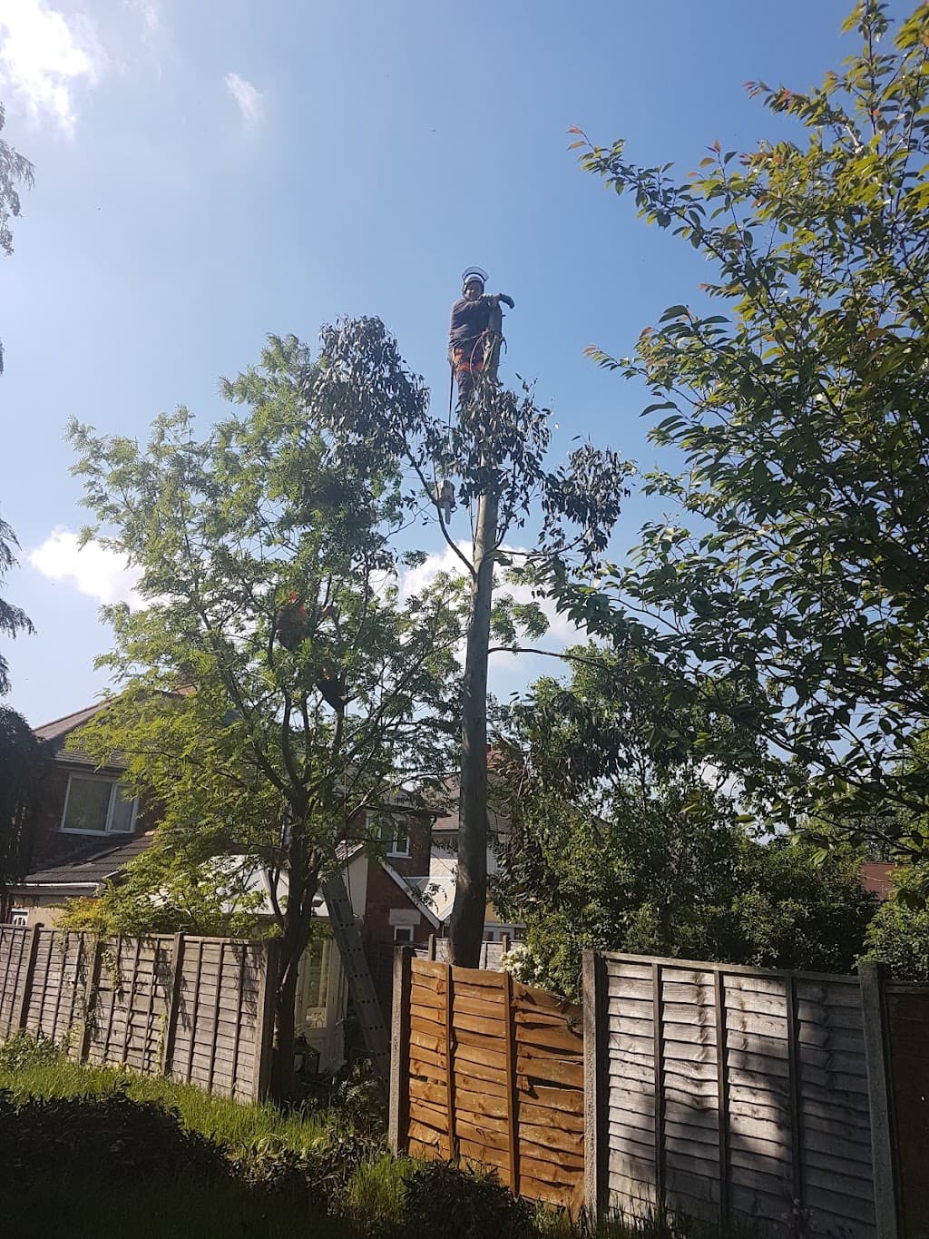 JK Arboriculture
