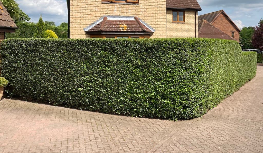 Edge Garden Service Ltd