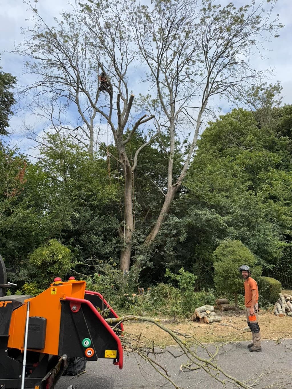 Angus Tree Services Ltd