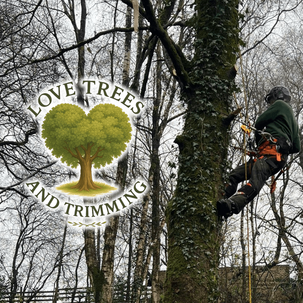 Love Trees and Trimming