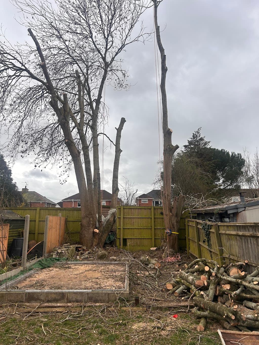 Dawson's Tree and Gardening Services