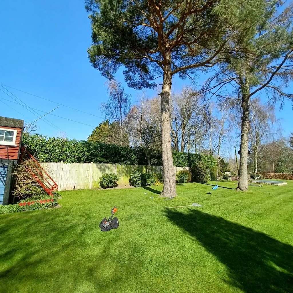 Nicholls Tree Services
