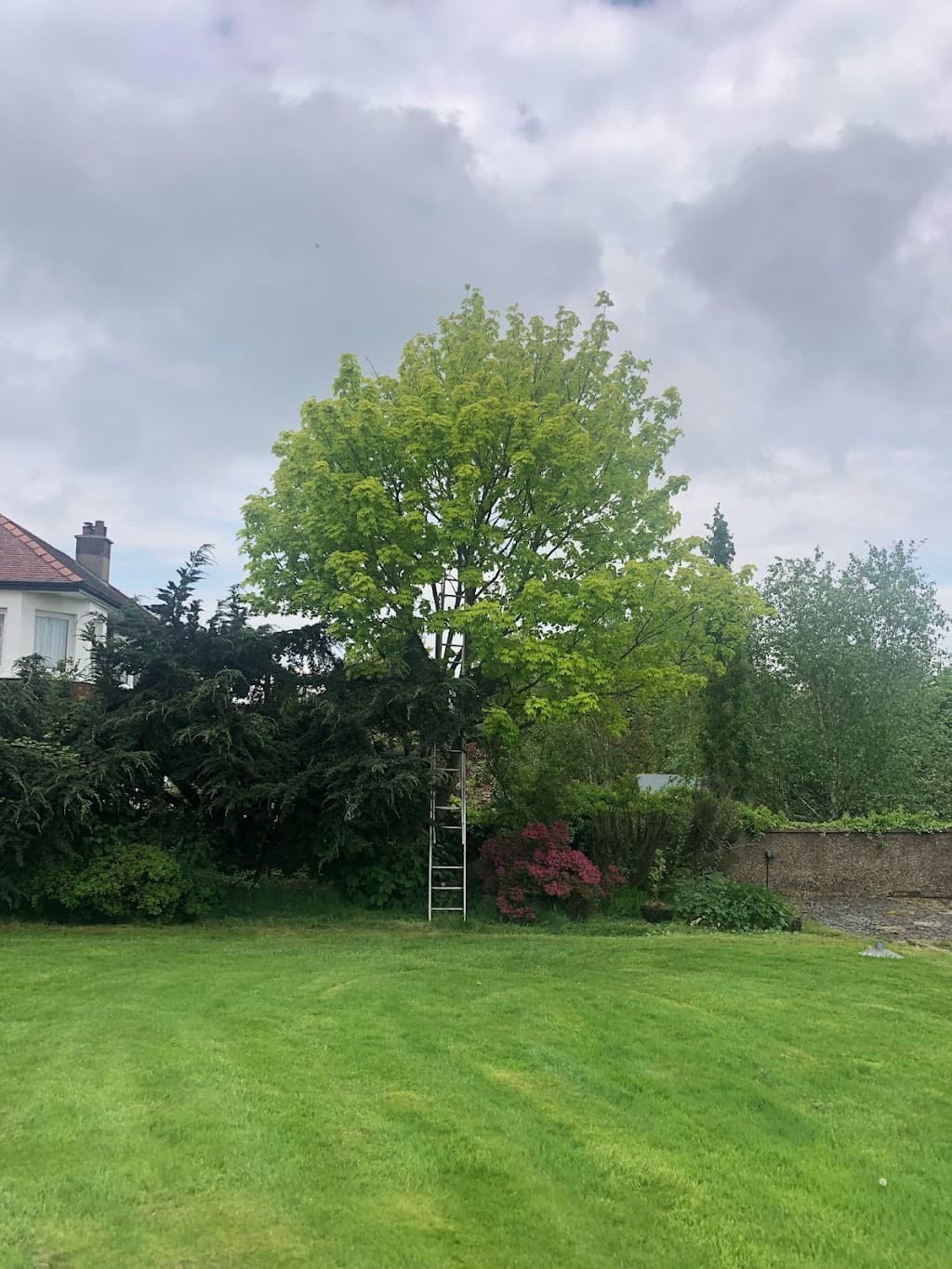 J.S.Tree & Garden Services