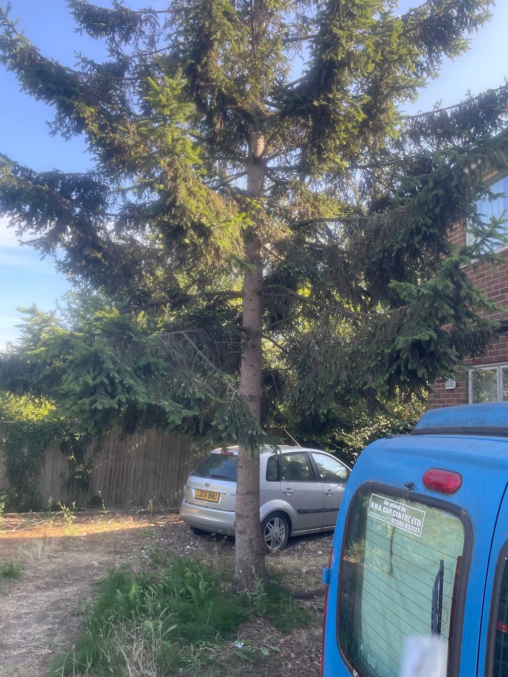 Stubbington Tree Care