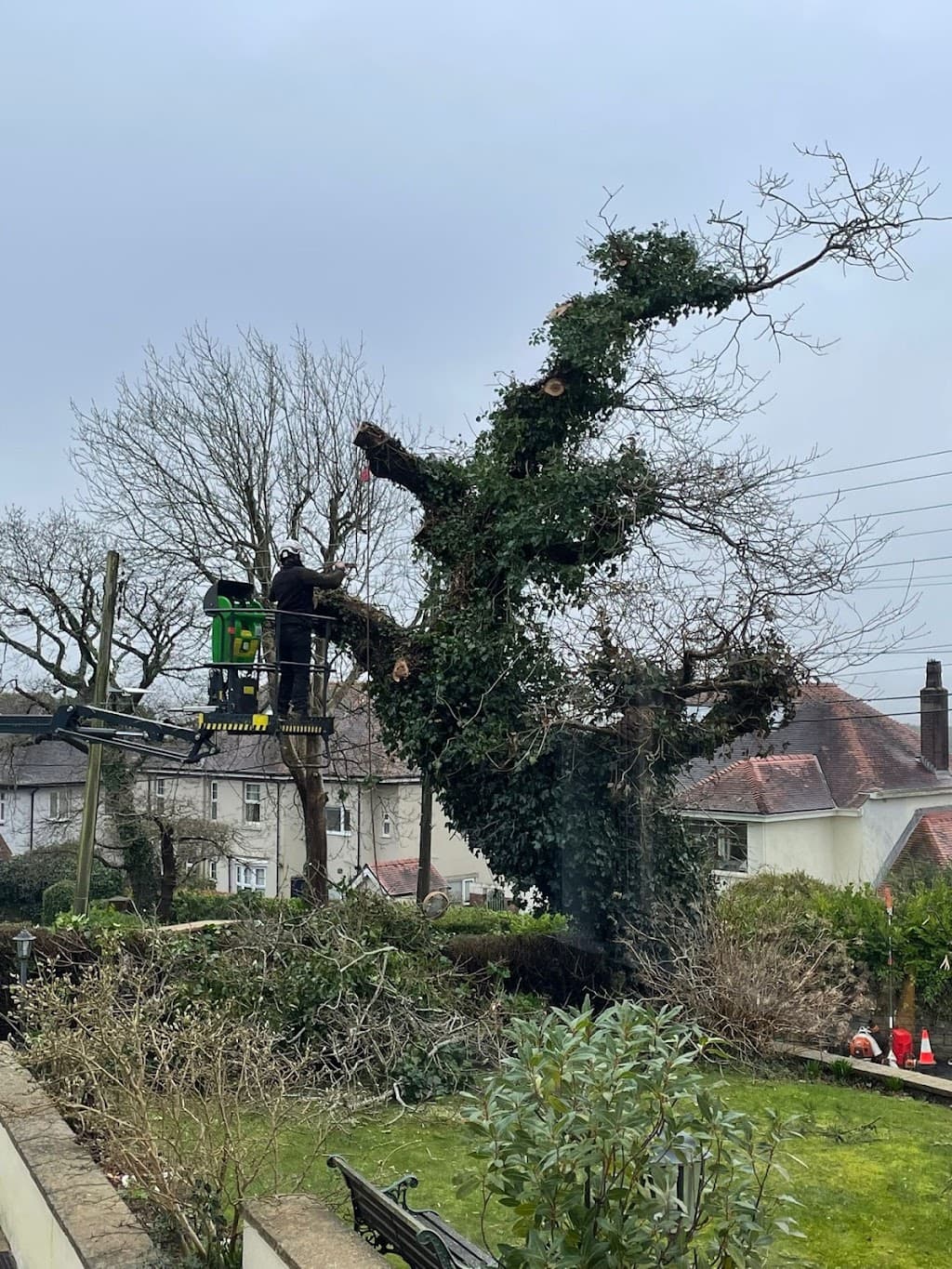 AWS Tree Surgery