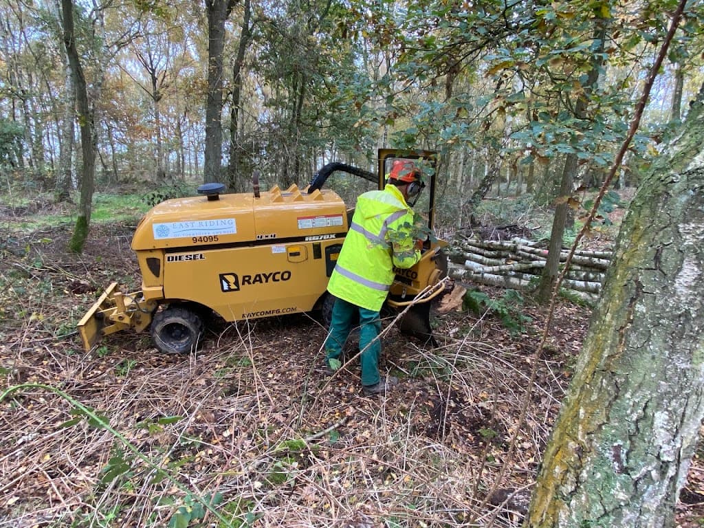 Granite City Stump Grinding