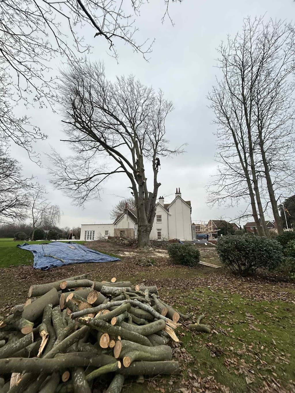 Hampshire Tree & Garden Care Ltd - Tree Surgeons Waterlooville