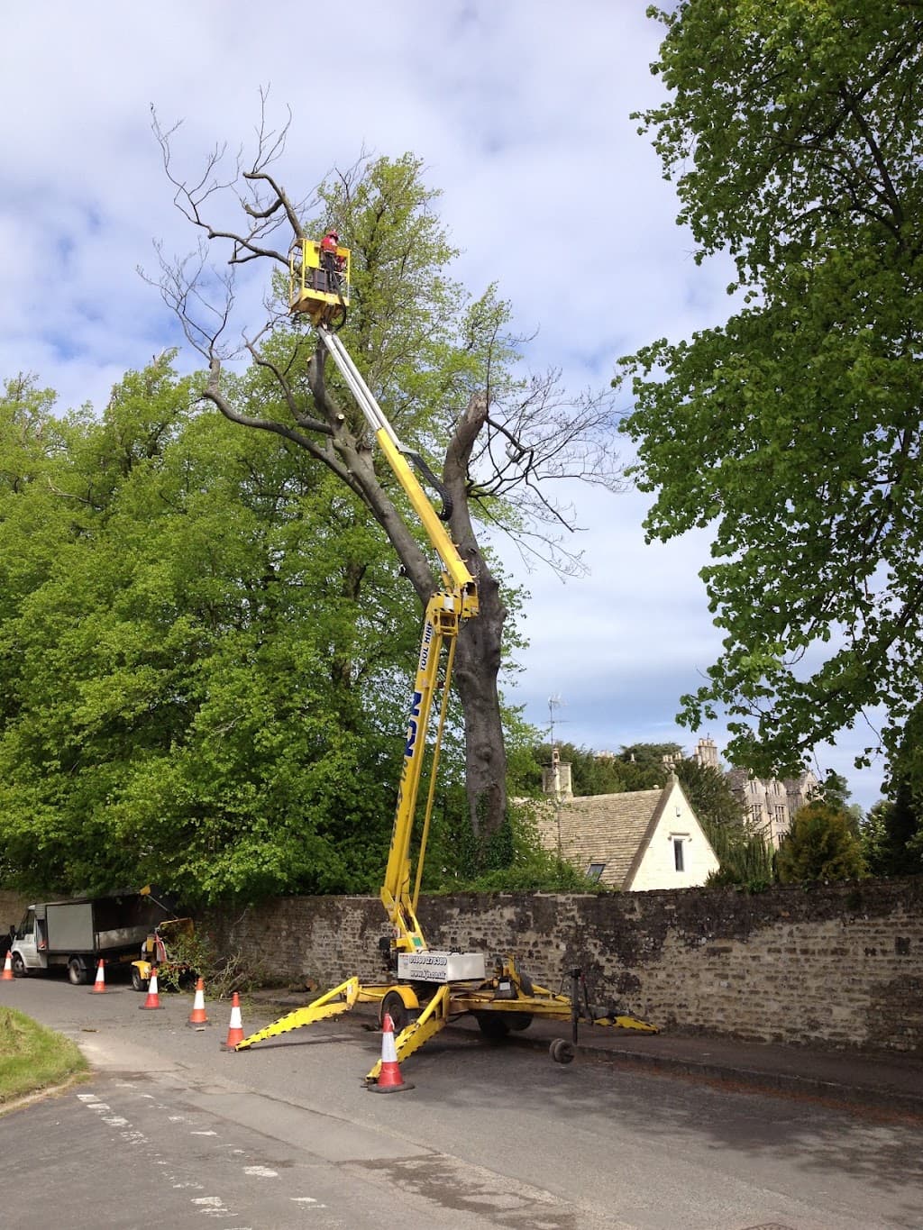 Young's Tree Services