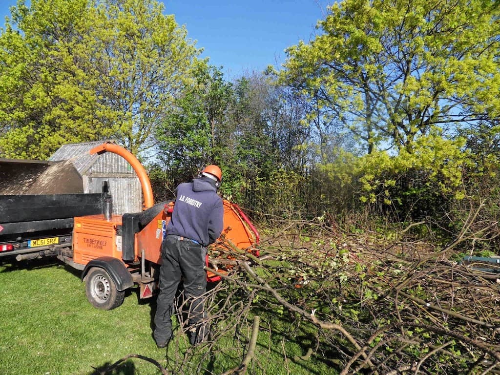 ABF Tree surgeons Hull and Yorkshire