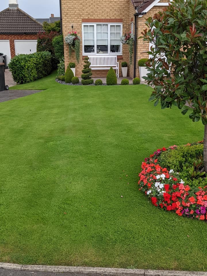 The Lawn Man