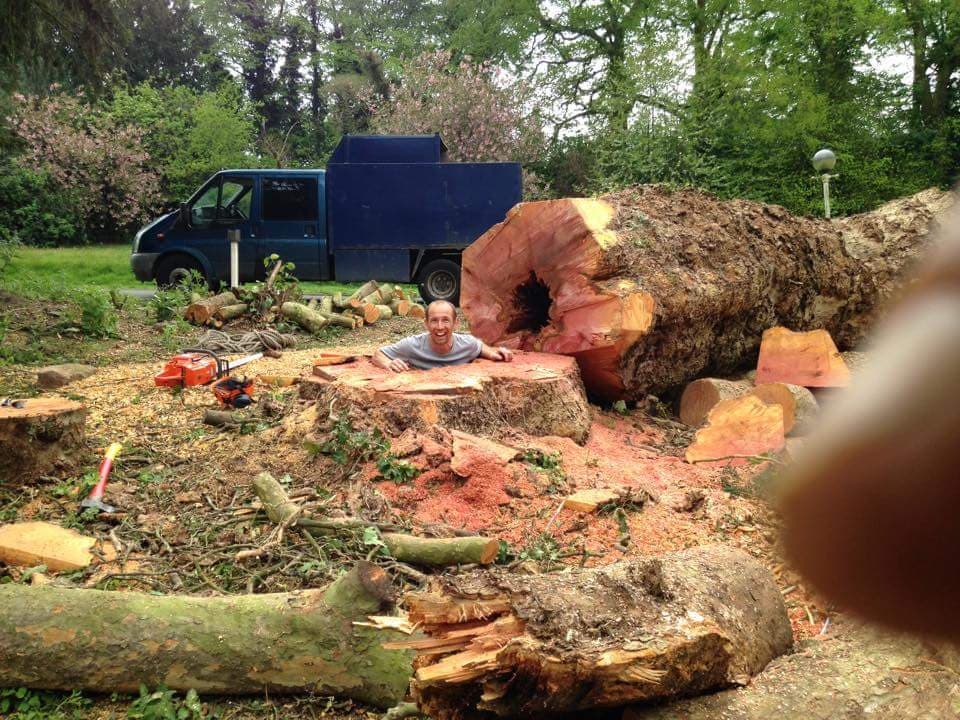 Cutting Edge tree services