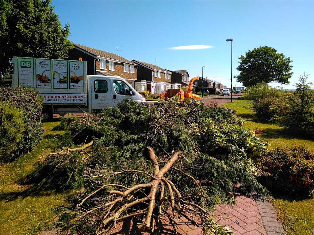 DB Tree and Garden Services