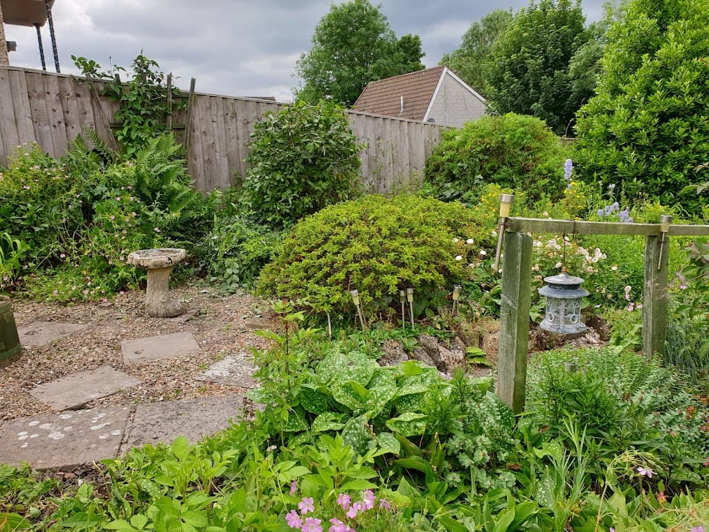 Sweetleaf Garden Maintenance