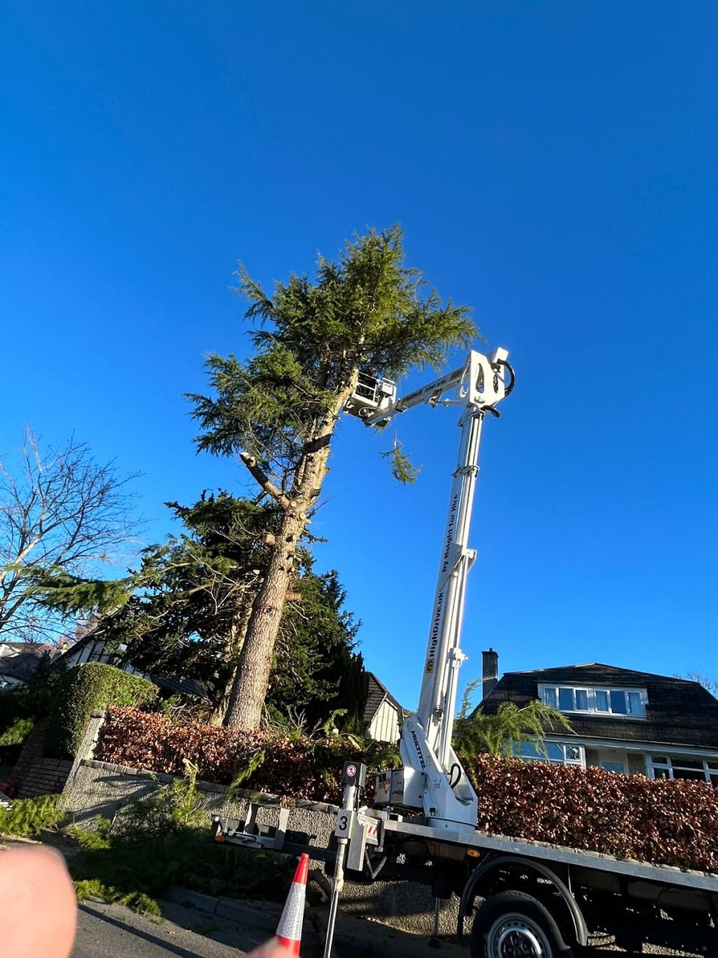 J&J tree surgeons
