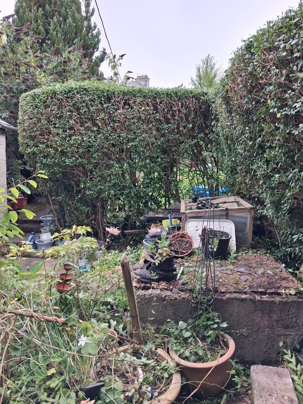All Seasons Garden Maintenance