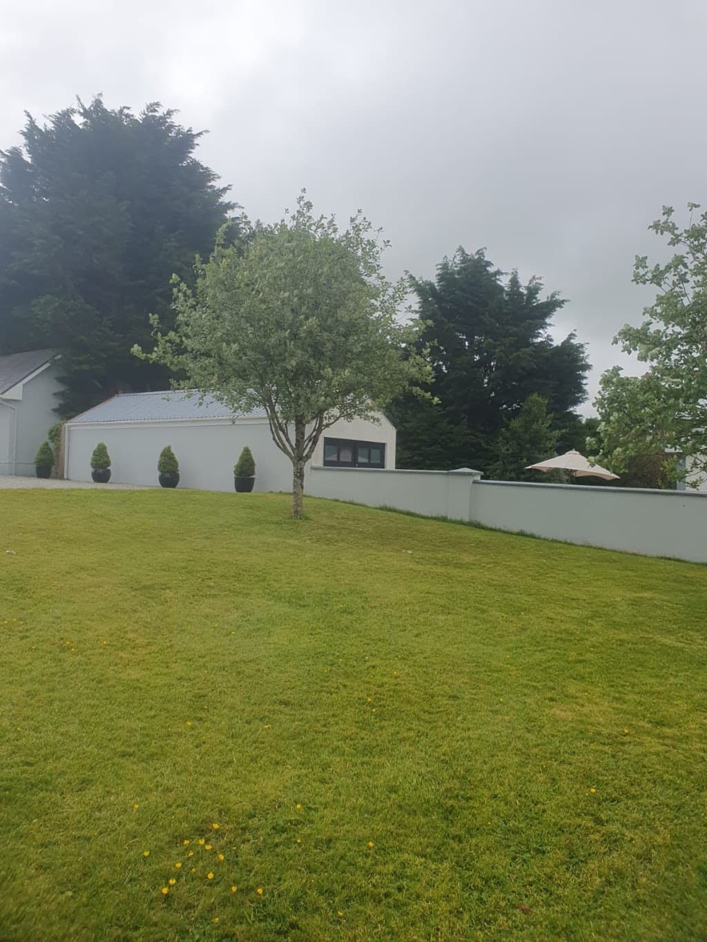 GPB Trees & Landscapes