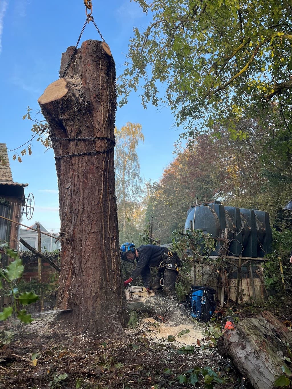 Elite Tree Services (EA) Ltd
