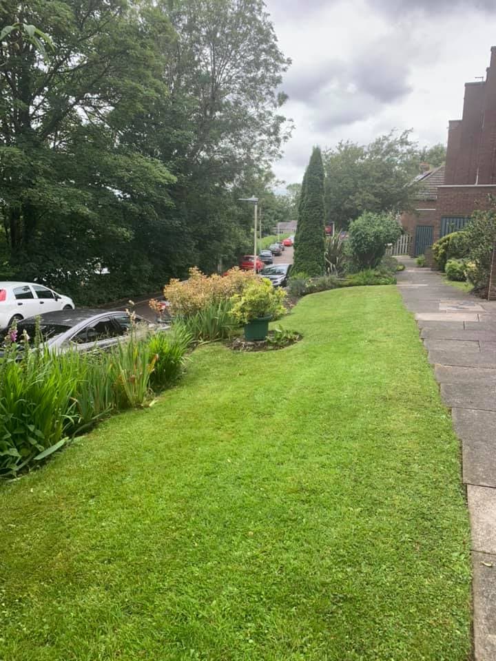 Eds's Garden Services - Swindon East