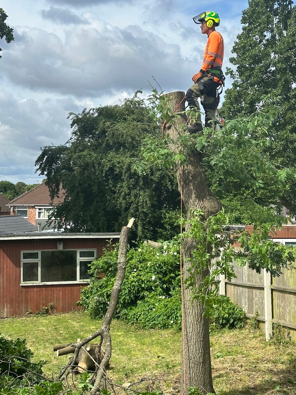 A&T Tree Services