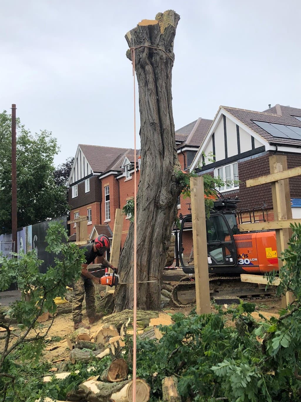 Titan Tree Services Ltd