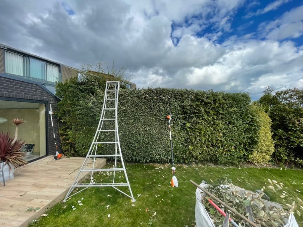 Alumhurst Garden Services