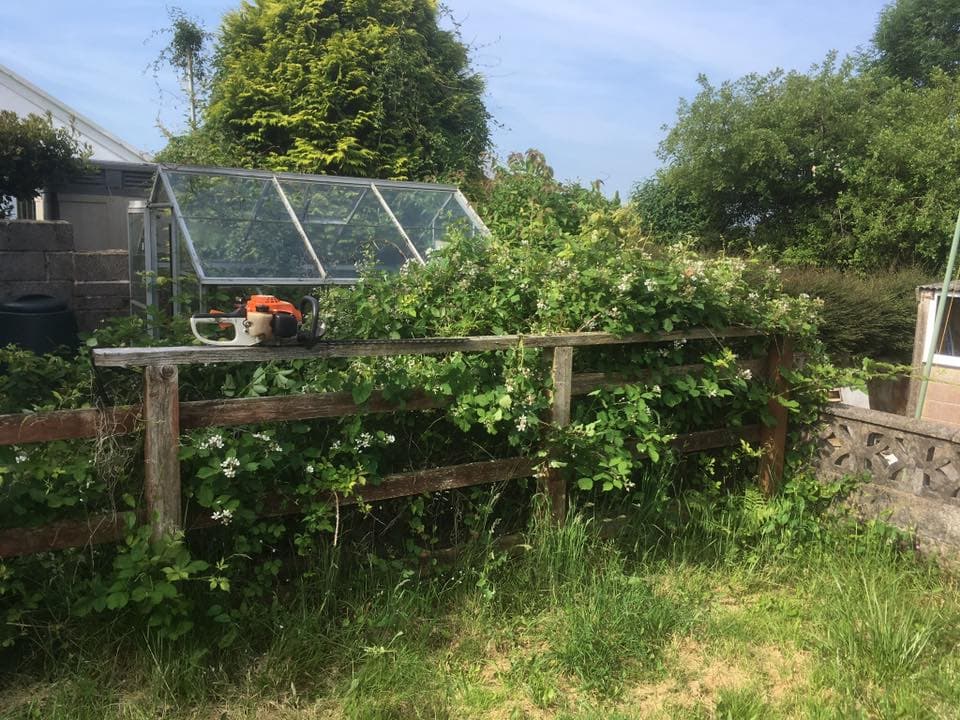 AR Gardening Services Swansea