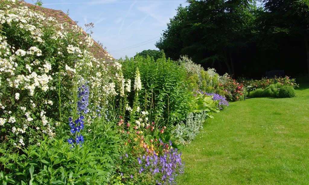 Plums & Roses Garden Design