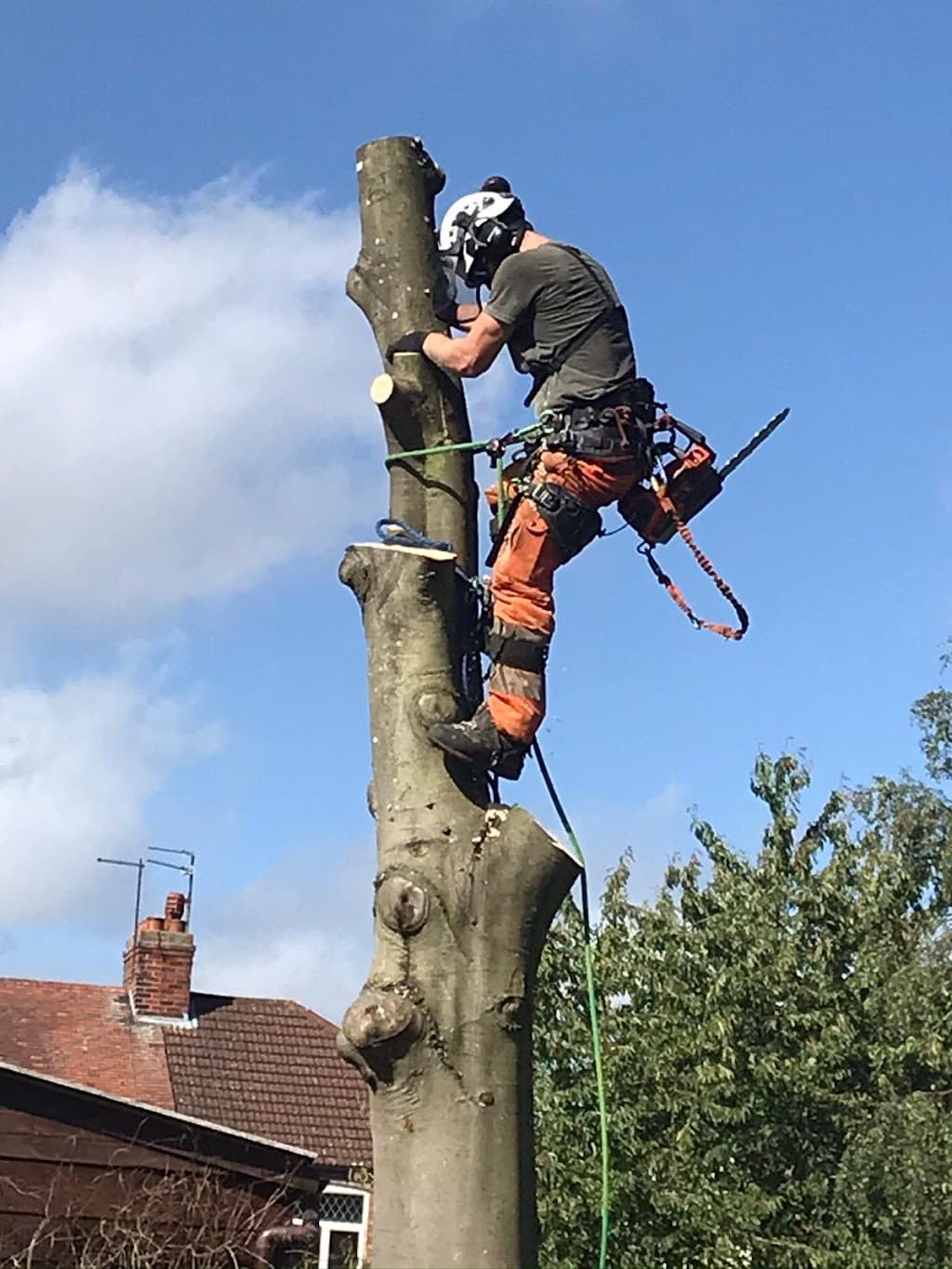 Tree Surgery Northampton - Becks-well Tree & Landscapes